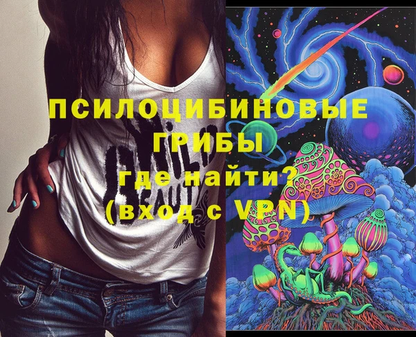 синтетический гашиш Новодвинск